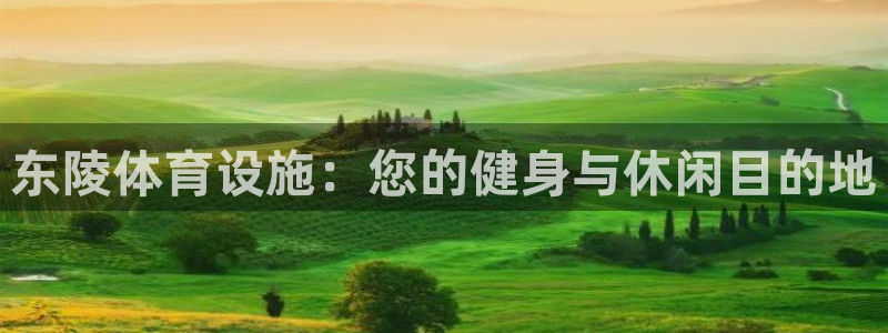 意昂体育3娱乐：东陵体育设施：您的健身与休闲目的地