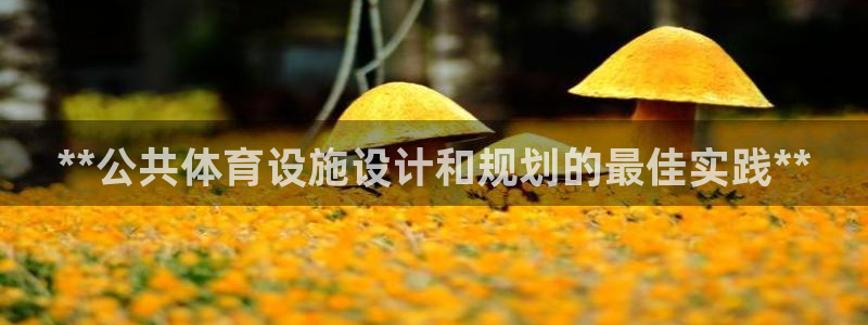 意昂3集团官网网址：**公共体育设施设计和规划的最佳