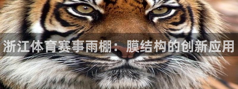 意昂体育3招商电话地址：浙江体育赛事雨棚：膜结构的创