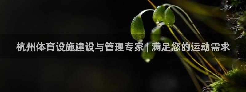 德国意昂3集团：杭州体育设施建设与管理专家 | 满足