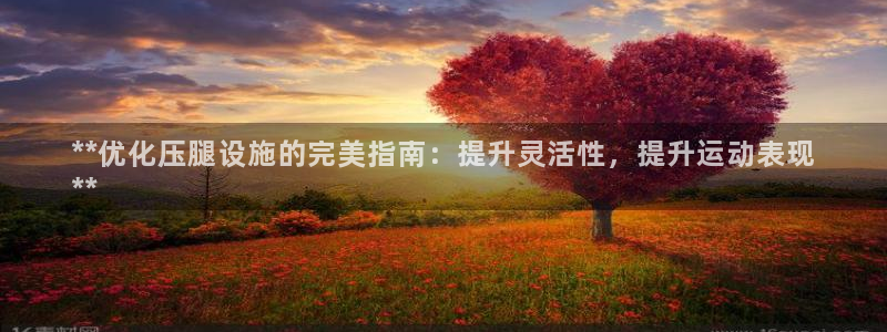 意昂体育3软件：**优化压腿设施的完美指南：提升灵活