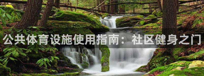 意昂3集团E.ON：公共体育设施使用指南：社区健身之