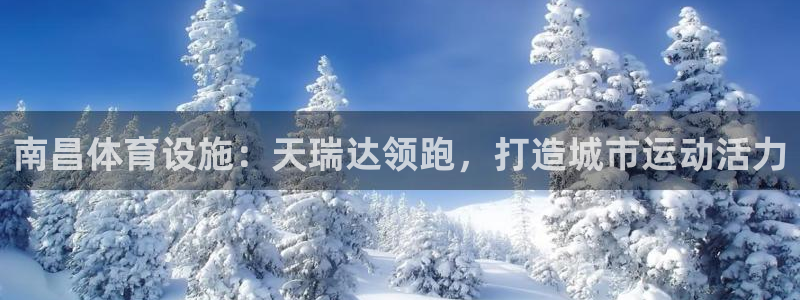 意昂体育3平台注册要钱吗：南昌体育设施：天瑞达领跑，