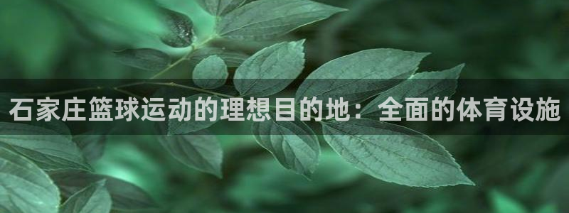 意昂体育3招商电话是多少：石家庄篮球运动的理想目的地