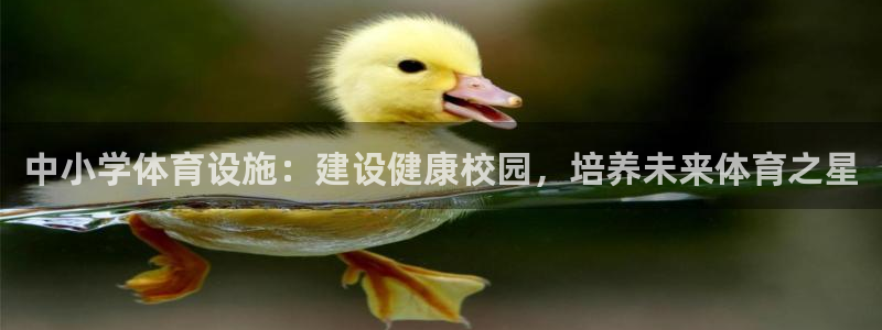意昂3开户：中小学体育设施：建设健康校园，培养未来体