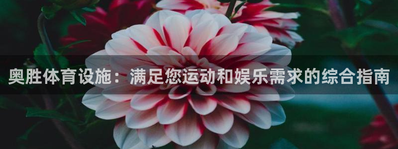 意昂3娱乐首页官网下载：奥胜体育设施：满足您运动和娱