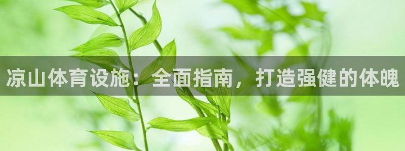 德国意昂3集团：凉山体育设施：全面指南，打造强健的体