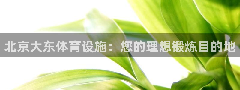 意昂体育3平台APP