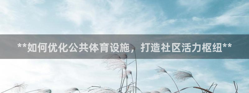 意昂体育3平台注册要钱吗安全吗：**如何优化公共体育