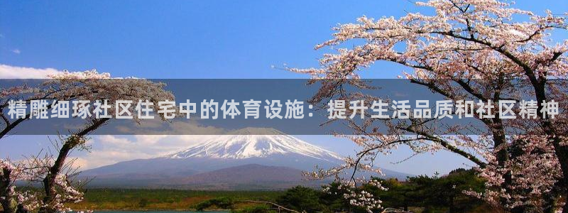 意昂体育3招商电话是多少啊：精雕细琢社区住宅中的体育