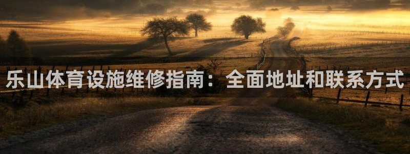 意昂体育3招商电话号码是多少：乐山体育设施维修指南：