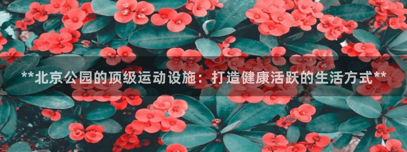 意昂体育3平台是正规平台吗知乎：**北京公园的顶级运
