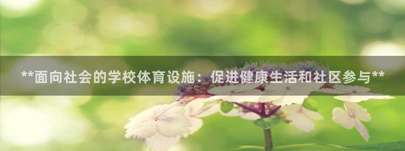 意昂体育3平台APP：**面向社会的学校体育设施：促