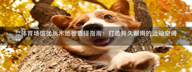 意昂体育3招商电话地址：**体育场馆优质木地板选择指