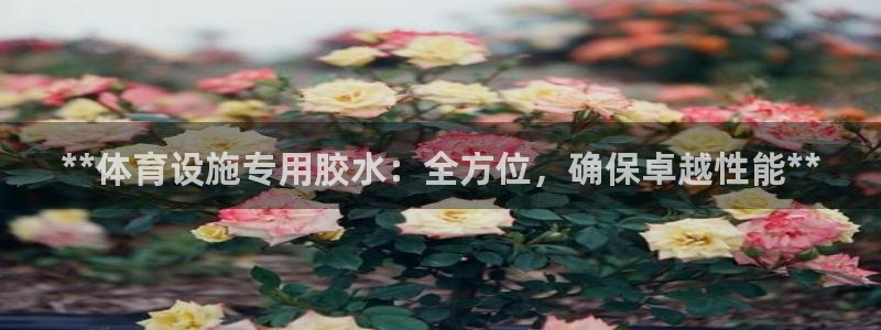 意昂体育3平台假的吗是真的吗吗：**体育设施专用胶水
