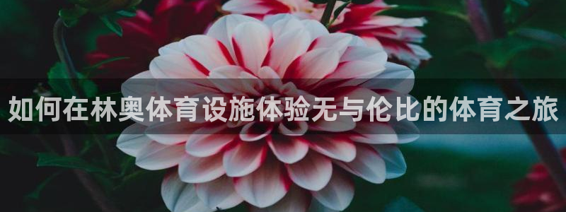 意昂3娱乐40996：如何在林奥体育设施体验无与伦比
