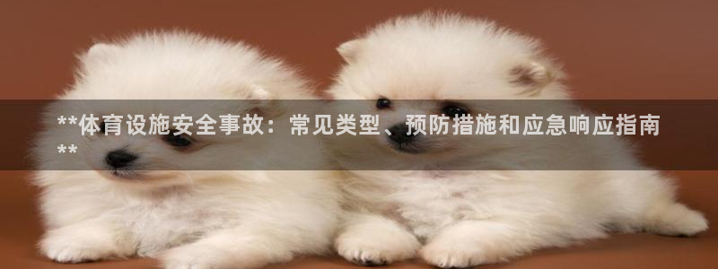 意昂体育3平台假的吗是真的吗：**体育设施安全事故：
