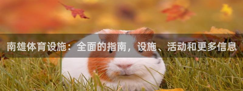 意昂体育3招商电话号码是多少啊：南雄体育设施：全面的