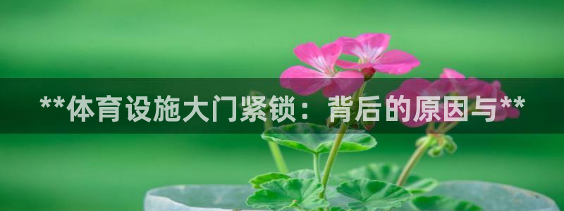 意昂体育3官方客服电话：**体育设施大门紧锁：背后的