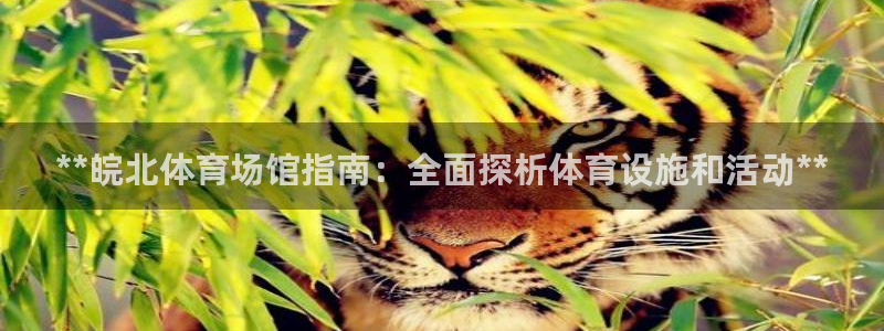 意昂体育3官方客服电话：**皖北体育场馆指南：全面探