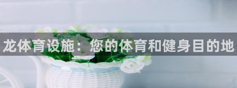 意昂3娱乐40996：龙体育设施：您的体育和健身目的