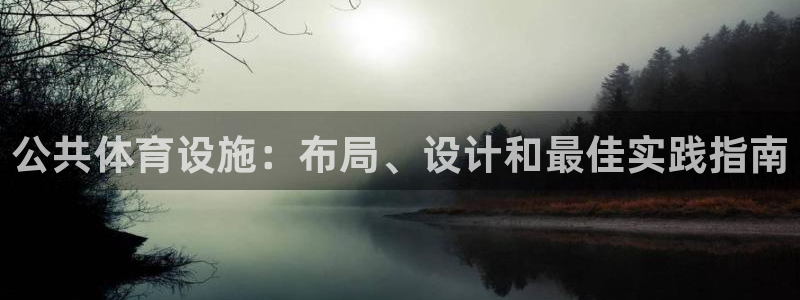 意昂3官方：公共体育设施：布局、设计和最佳实践指南