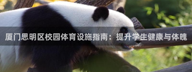 意昂体育3平台注册要钱吗安全吗：厦门思明区校园体育设