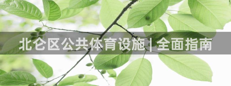 意昂3集团logo：北仑区公共体育设施 | 全面指南