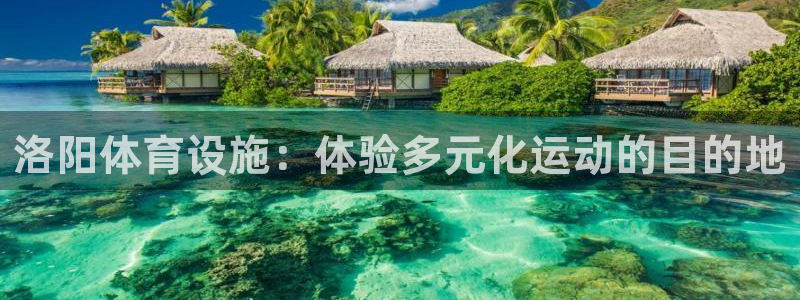 意昂体育3招商电话号码是多少：洛阳体育设施：体验多元