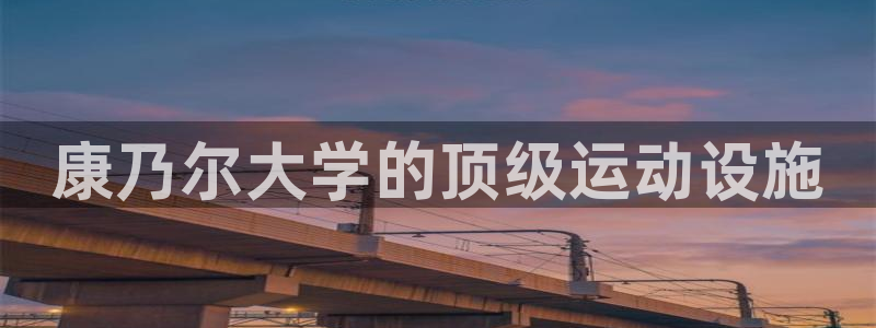 意昂平台体育：康乃尔大学的顶级运动设施