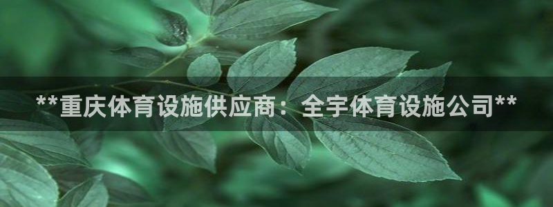 意昂3新能源：**重庆体育设施供应商：全宇体育设施公