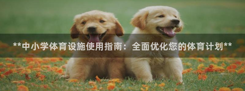 意昂3集团E.ON：**中小学体育设施使用指南：全面