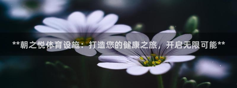 意昂体育3招商电话地址查询：**朝之悦体育设施：打造