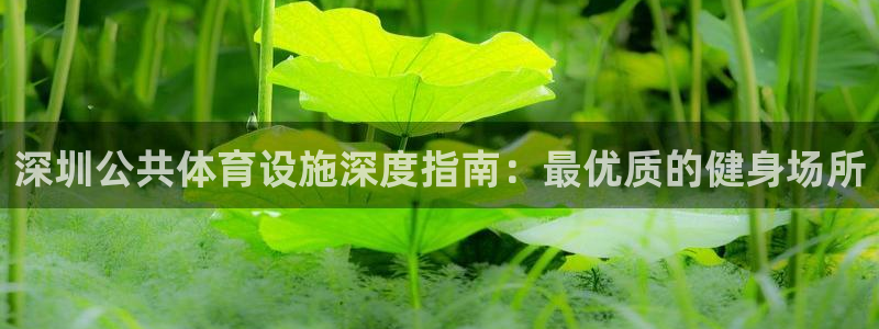 意昂体育3平台是正规平台吗安全吗：深圳公共体育设施深