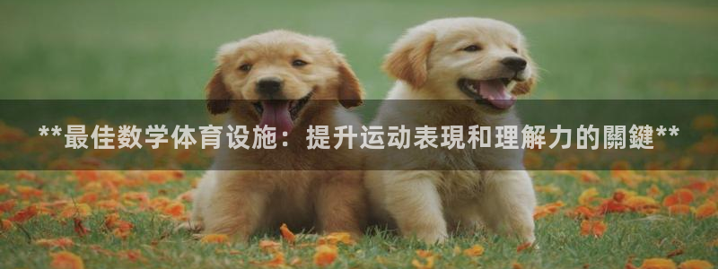 意昂3开户：**最佳数学体育设施：提升运动表現和理解