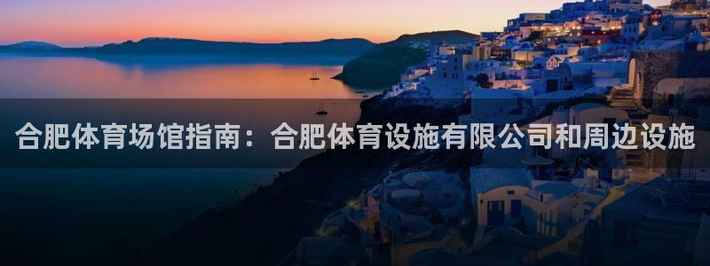 意昂体育3是干嘛的公司：合肥体育场馆指南：合肥体育设