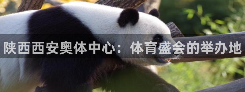 意昂3娱乐代理怎么样：陕西西安奥体中心：体育盛会的举