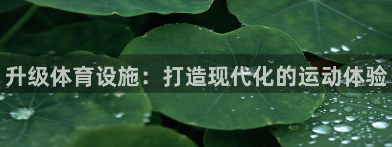 意昂3官方：升级体育设施：打造现代化的运动体验