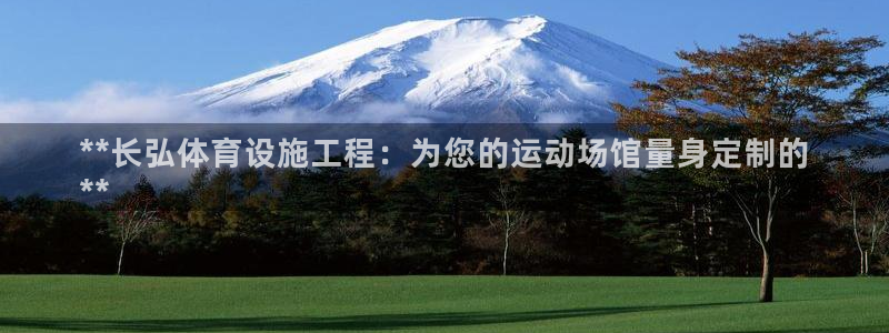 意昂3开户：**长弘体育设施工程：为您的运动场馆量身