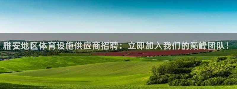 意昂体育3软件：雅安地区体育设施供应商招聘：立即加入