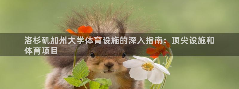 意昂体育3招商电话号码是多少号：洛杉矶加州大学体育设