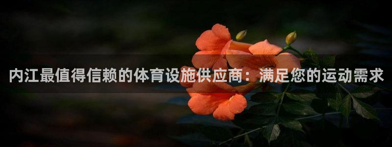 意昂体育3招商电话号码查询：内江最值得信赖的体育设施
