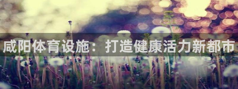 意昂3五金厂：咸阳体育设施：打造健康活力新都市