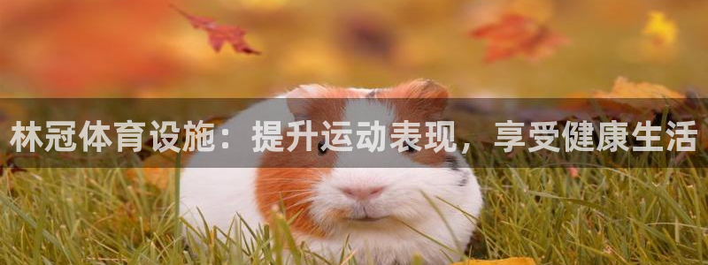 意昂体育3招商电话号码查询：林冠体育设施：提升运动表