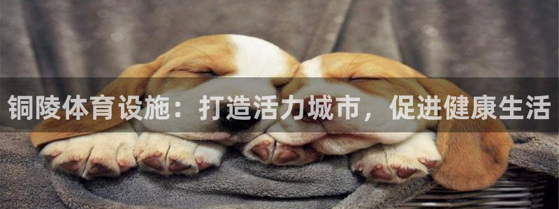 意昂体育3平台假的吗是真的吗吗：铜陵体育设施：打造活
