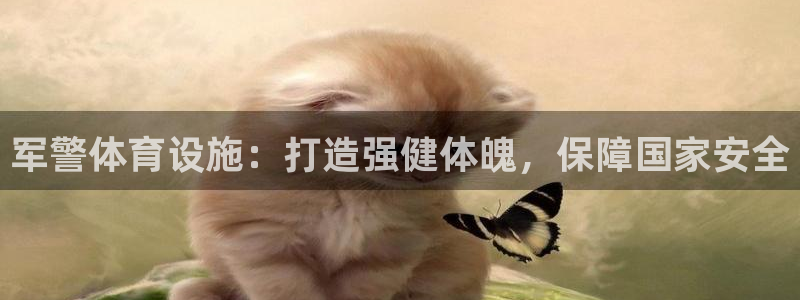意昂体育3平台是正规平台吗：军警体育设施：打造强健体