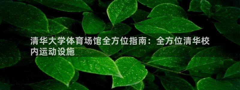 意昂体育3：清华大学体育场馆全方位指南：全方位清华校