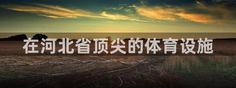意昂3娱乐首页网站大全：在河北省顶尖的体育设施