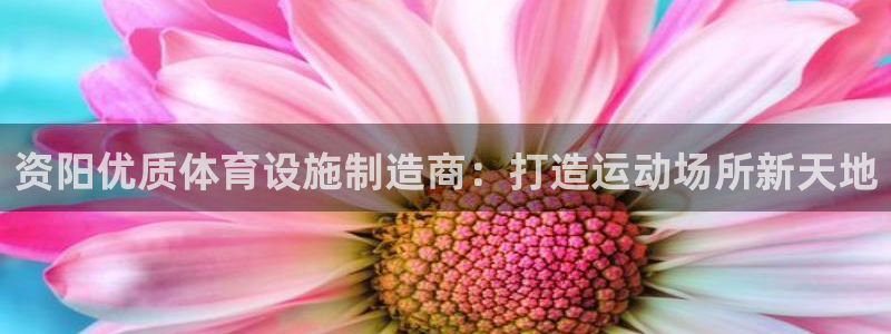 意昂体育3平台是正规平台吗知乎：资阳优质体育设施制造