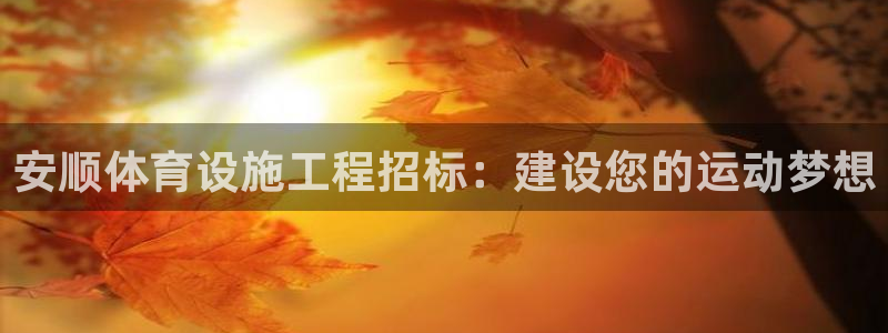 意昂体育3招商电话号码是多少号：安顺体育设施工程招标